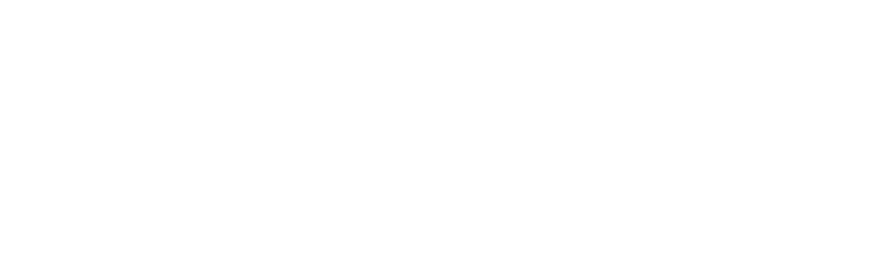 N V L T Y, LLC